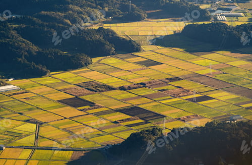 Preview: Paddy rice terraces, green agricultural fields in countryside of mountain hills valley, Vietnam.