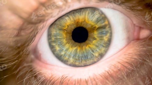 Preview: Extreme close-up macro shooting of the human male eye detail.