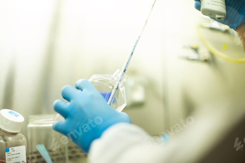 Preview: Closeup of hands in blue protective gloves holding a tube for testing in a lab