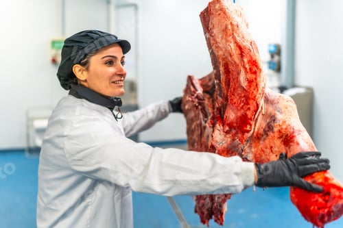 Preview: Female butcher carrying the hanging cut pieces of cattle