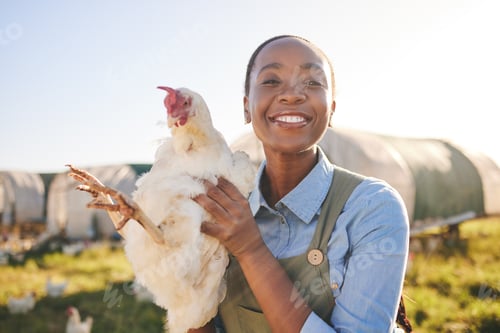 Preview: African farmer woman, chicken and portrait outdoor in field, healthy animal or sustainable care for
