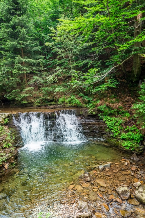 Preview: Cascade Water in the mountain forests
