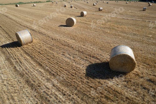 Preview: Aerial view of a round bale field in midsummer