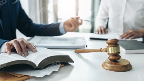 Preview: Male lawyer and professional businesswoman working and discussio