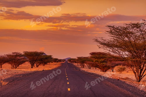 Preview: Kenya East Africa Landscapes Kalokol Lodwar Town Turkana Sunset Sunrise Highway Road Field Travels