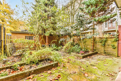 Preview: Nice courtyard of a house with trees
