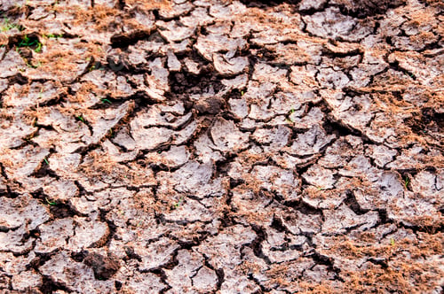 Preview: Crack and dry soil texture, Background