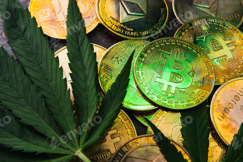 Preview: Golden coins with crypto currency symbol and cannabis leaves.