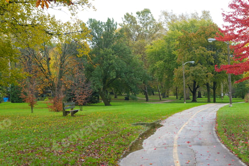 Preview: Bicycle Trail In The Autumn Park In November