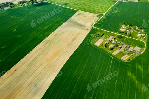 Preview: top view of a sown green field and a small village in Belarus. Agricultural fields in the village