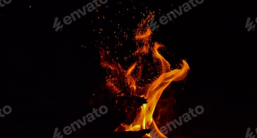 Preview: Camp fire during a dark night