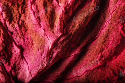 Preview: Dry Leaf Texture Abstract Background