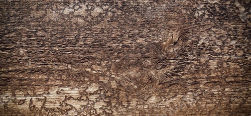 Preview: Tree Bright Background Image