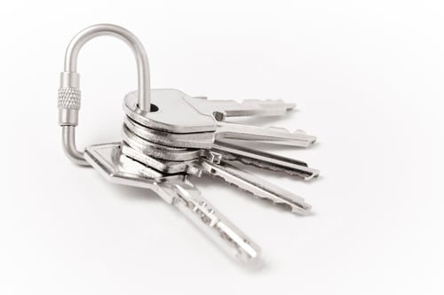Preview: Key ring with two keys over white background. Rent, buy