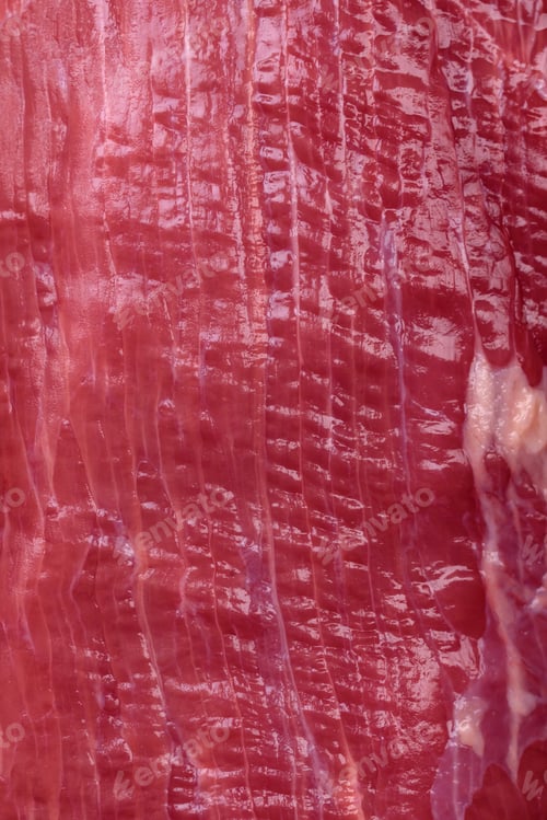 Preview: Juicy raw beef with spices, salt and herbs on a dark concrete background