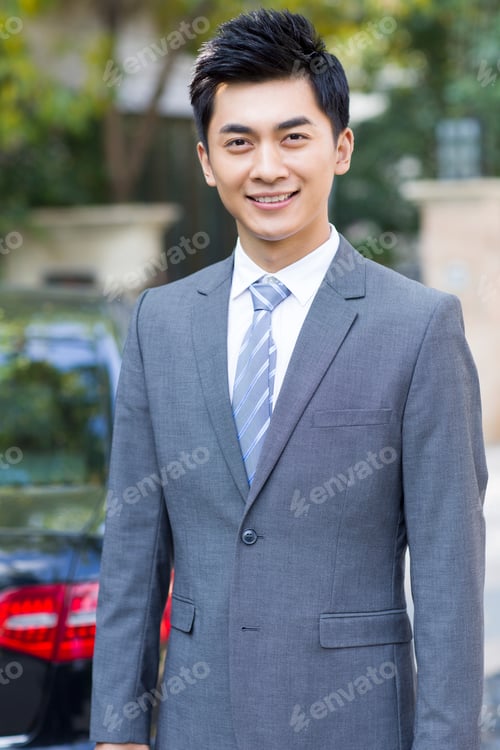Preview: Portrait of young businessman