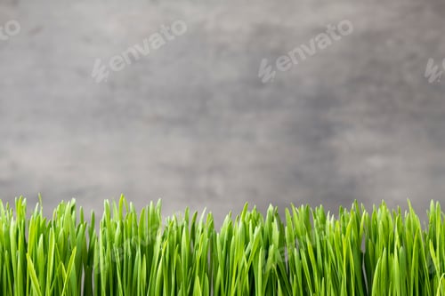 Preview: Grass.