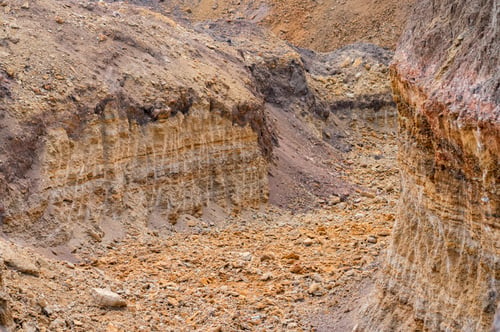 Preview: A stratigraphic section of Miocene shell limestone