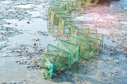 Preview: Crab Cage With Foam On Beach