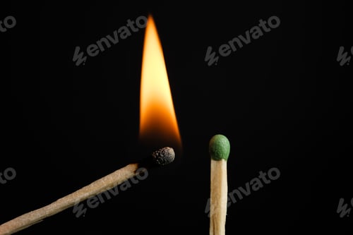 Preview: Lit and whole matches on black background, closeup