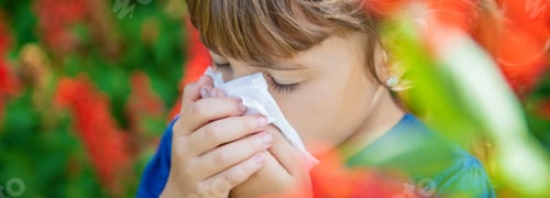 Preview: Seasonal allergy in a child. Coryza. Selective focus.