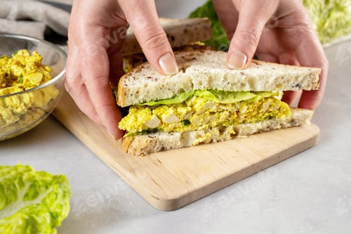 Vista previa: Woman hands holding vegan sandwich club