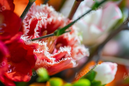Preview: Floral composition with seasonal flowers