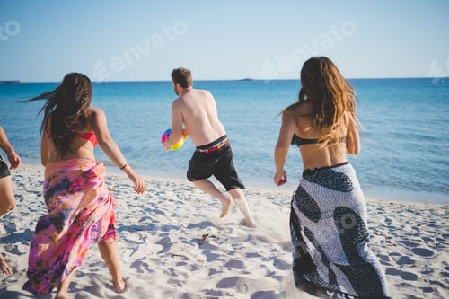 Preview: group of young multiethnic friends beach summer