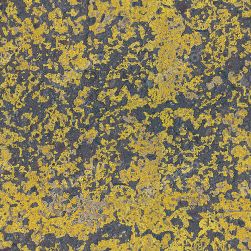 Preview: Rock covered with lichens