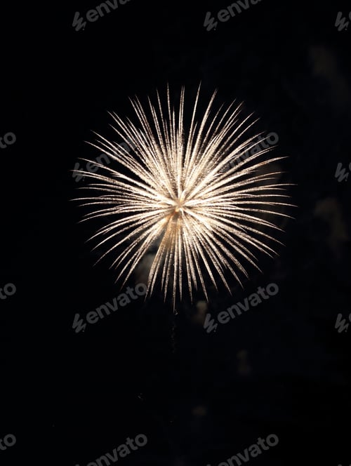 Preview: a fireworks that has been set off in the night sky
