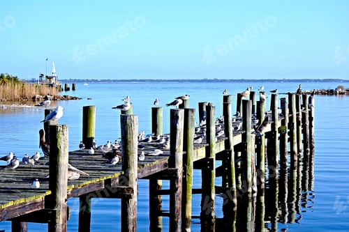 Preview: Sea level