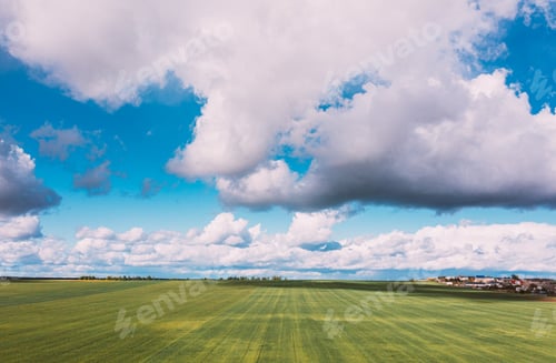 Preview: Countryside Rural Green Field Landscape With Young Wheat Sprouts In Spring Summer Cloudy Day