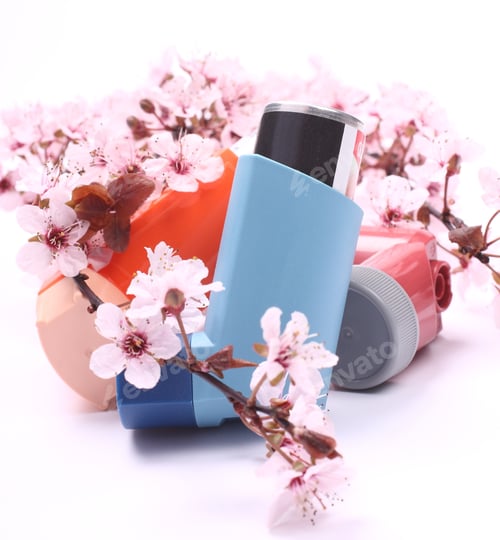 Preview: Asthma inhalers with blossoming tree branches over white
