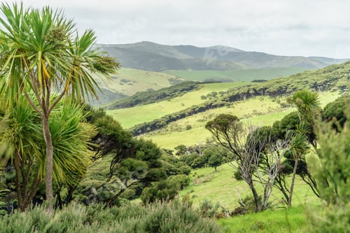 Preview: scenic shot of valley with green hills, New Zealand