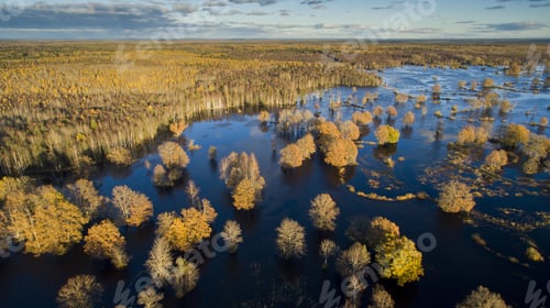 Preview: Autumn colored woodlands and floodpalin