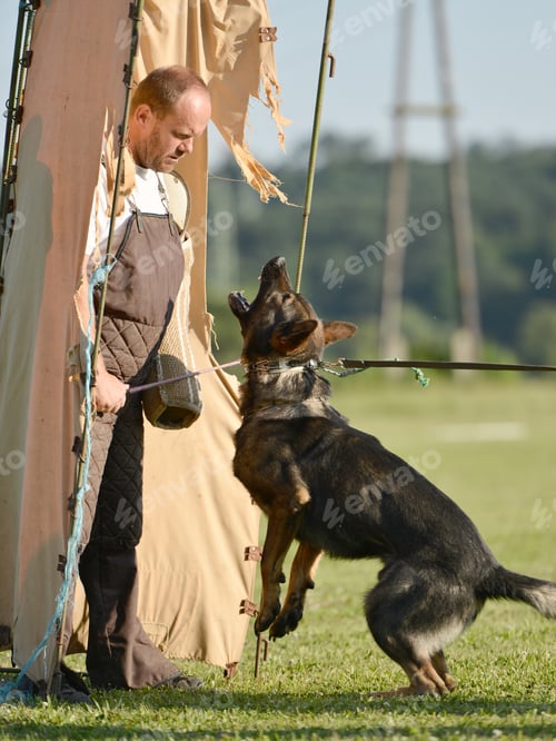 Preview: Police Dog Outdoor Training Process
