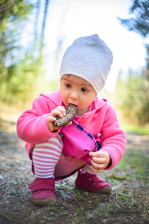 Preview: Adorable baby ducking on forest path in nature. Portrait of 1 year old girl in woods with pine cone