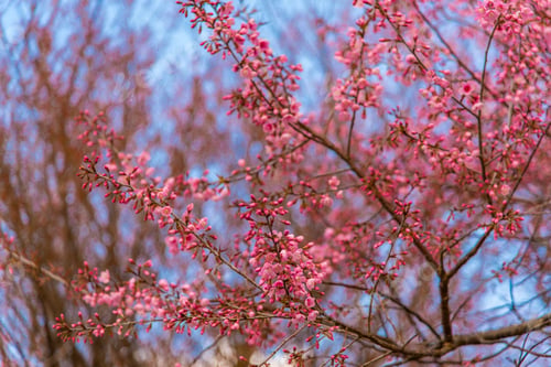 Vorschau: In den Wald. Zusammensetzung der Natur.