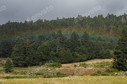 Preview: Forest landscape with a rainbow. El Conejo, Perote, Veracruz, Mexico