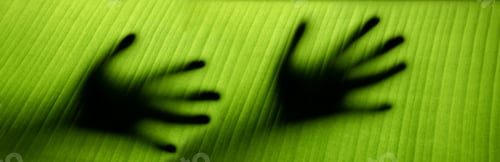 Preview: Sustainable Lifestyle Concept. World Environment Day. Harmony and Close to Nature