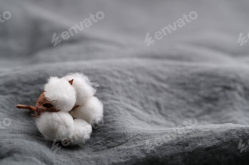 Preview: Cotton flower
