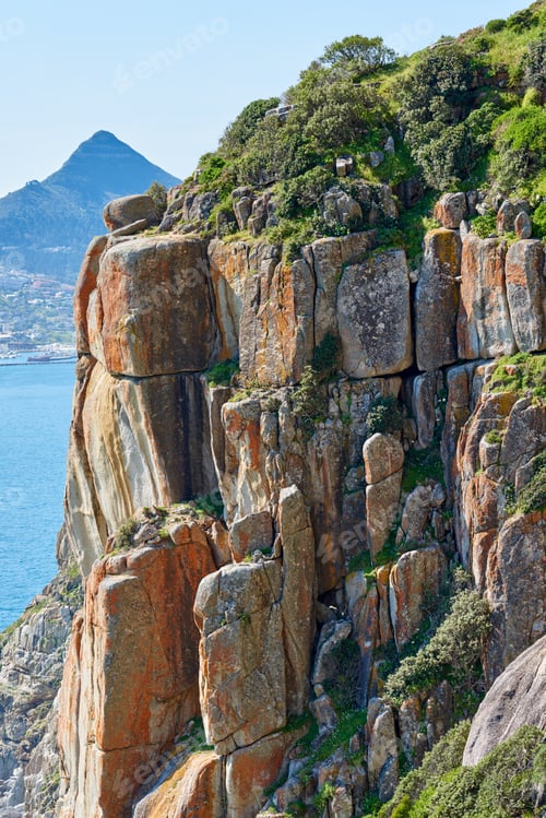 Preview: Nature - Cape Town area