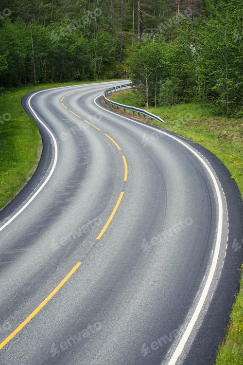 Preview: empty winding forest road