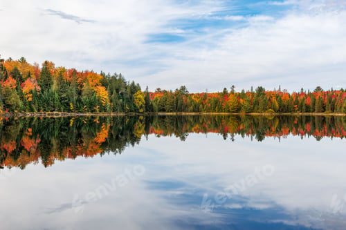 Vorschau: Wunderschöne Herbstwaldszene mit klarem blauem See und blauem bewölktem Himmel