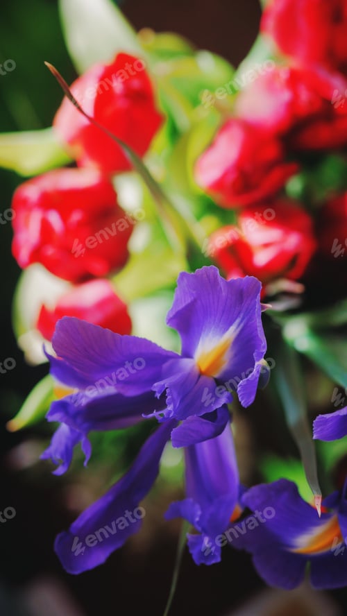Preview: Flowers