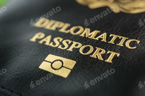 Preview: Diplomatic passport showing details and design features