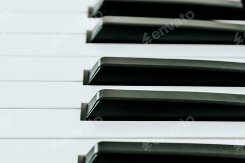 Preview: Piano Bback and white keys in a row close-up