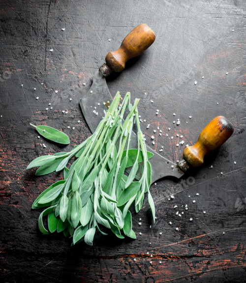 Preview: Freshly cut salvia.