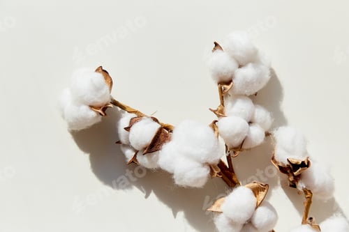 Preview: artificial decoration for home - cotton on a white background with hard shadows