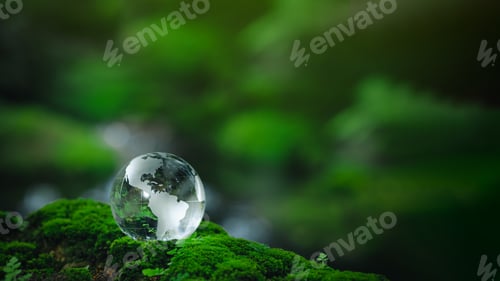 Preview: Environmental concept - Crystal Earth on forest moss with fern and sunlight - environment